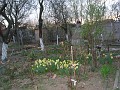 20120330_Acasa_Primavara (95)